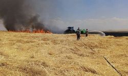 Diyarbakır'da anız yangını: Yüzlerce dönüm arazi küle döndü