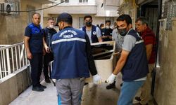 Diyarbakır'da bir apartman dairesinden 3 kamyon çöp çıkarıldı!