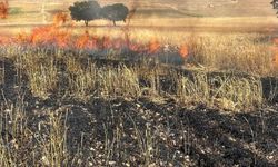 Diyarbakır’da buğday tarlasında yangın: 200 dönüm küle döndü!