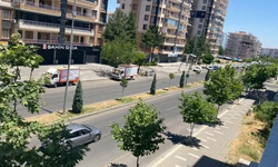 Diyarbakır’da yeşil alan alarmı: Susuzluk kurak bıraktı!