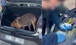 Diyarbakır’dan Tunceli’ye götürürken yakalandı: 2 kişi tutuklandı