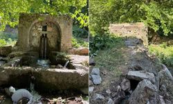 Ergani'deki asırlık çeşme kaderine terk edildi: Köylüler çağrı yaptı