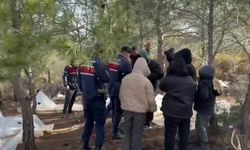Diyarbakır’a uzanan operasyon: 118 araç, 9 bot ve motor yakalandı
