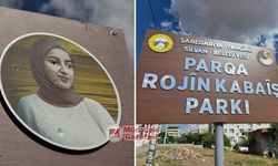 Rojin Kabaiş Parkı'ndaki fotoğrafa silahlı saldırı!