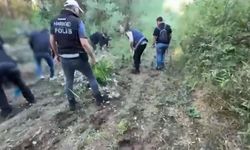 Tarihi Hevsel Bahçeleri’nde operasyon: Binlercesi ektiler!
