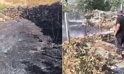 Dicle'deki yangında onlarca meyve ağacı kül oldu!