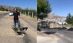 Diyarbakır’da 'ağaçlı' protesto sonuç verdi: Çalışmalar başladı!