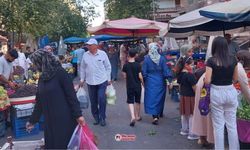Diyarbakır'da pazara ateş düştü: Domatesin kilosu 50 TL!
