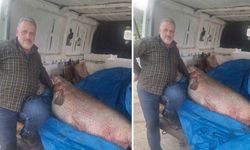 Diyarbakır’da yakaladı: Tam 130 kilo ağırlığında!
