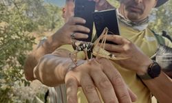 Diyarbakır'da turistler de şaşırdı: Sesi ve boyutuyla dikkat çekiyor