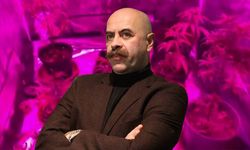 Ünlü ismin evini kenevir tarlasına çevirdiği ortaya çıktı!