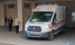 Diyarbakır yolunda otomobil eşeğe çarptı: Otobüs facianın eşiğinden döndü