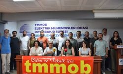 TMMOB’dan Diyarbakır açıklaması: 300 dekar tarım arazisi etkilendi
