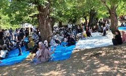 Bingöl'de asırlık gelenek: Diyarbakır dahil birçok il akın etti!