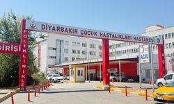 Diyarbakır’da kuduz alarmı: 4 yaşındaki çocuk entübe edildi!