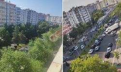 Diyarbakır’da 19 yıllık ağaçlar söküldü: Sebebi belli oldu!