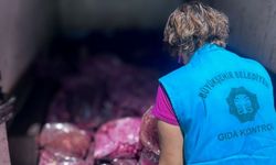 Diyarbakır’da araçta 3 ton sakatat ele geçirildi