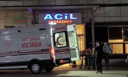 Hasankeyf’te trafik kazası: Çok sayıda yaralı var!