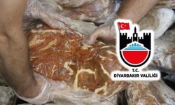 Diyarbakır’a yedireceklerdi: 9 bin ton kaçak et yakalandı!