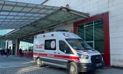 Fındık işçisi iki kardeşten biri hayatını kaybetti, diğeri ağır yaralı