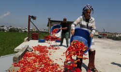 Damlarda ‘acı mesai’ sürüyor: Diyarbakır’a da gelecek!
