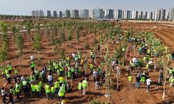 Diyarbakır Büyükşehir’den dev adım: “20 binden fazla…”