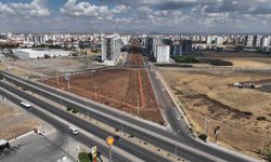 Diyarbakır Büyükşehir’den dev adım: Binlerce ağaç dikilecek!
