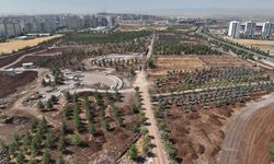 Diyarbakır Stadyumu yakınlarına dev park yapılıyor!