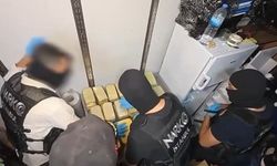 Diyarbakır’a uzanan 10 günlük operasyon: 424 tutuklama