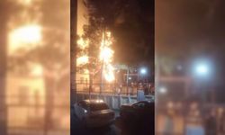 Diyarbakır’da atılan havai fişek ağacı yaktı