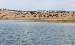 Diyarbakır’da “su olmazsa hayvancılık yapamayız” dediler: O köy suya kavuştu!