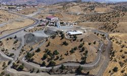 Diyarbakır’da yeni bir hayvan barınağı yapıldı: İşte o ilçe