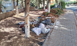 Diyarbakır’daki mahallede ihmal edilen çöpler vatandaşı isyan ettirdi!