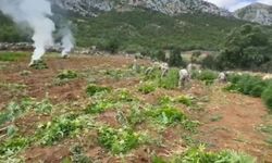 Diyarbakır'da dev operasyon: Hava destekli yapıldı, yüzlerce kişi katıldı!