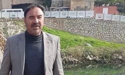 Barış için gittiği mahallede vuruldu: Eski ziraat odası başkanının zanlısı yakalandı