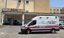 Siverek-Çermik yolunda otomobil yoldan çıktı: Yaralılar var