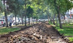 Diyarbakır’daki 3 parkta beklenen çalışma başladı