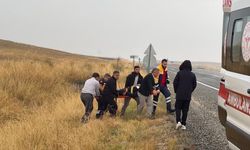 Diyarbakır’da lastiği patlayan pikap şarampole uçtu: Yaralı var