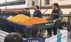 Eski AK Partili vekilden Diyarbakır Büyükşehir'e 'Sur' önerisi