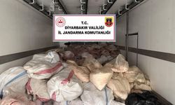Diyarbakır Valiliği açıkladı: 8 ton sakatat ele geçirildi