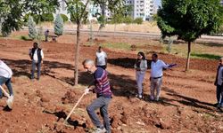 Diyarbakır’a yeni bir park yapıldı: İşte adresi