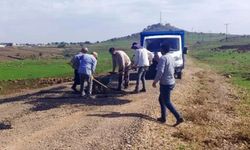 Diyarbakır’da ilginç olay: Asfalt Siverek, kamyon belediyeden!