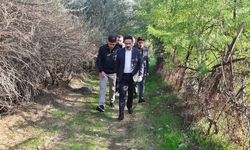 Diyarbakır’da Kaymakamdan anlamlı çalışma: Hevsel Bahçeleri’ne girdi!