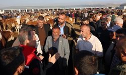 Şap yayılıyor: Hayvan pazarları kapatıldı