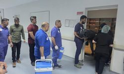 2 yaşında hayattan koptu! Organları Diyarbakır’daki çocuğa umut oldu