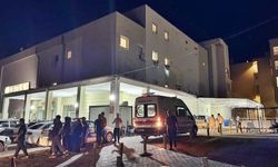 Siverek'te 8 yaşındaki çocuğa 'ütü'lü işkence iddiası: Anne gözaltında