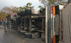 Diyarbakır yolunda hayvan yüklü TIR devrildi: Çok sayıda hayvan can verdi