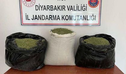 Diyarbakır’ın 2 ilçesinde 121 kilo esrar ele geçirildi