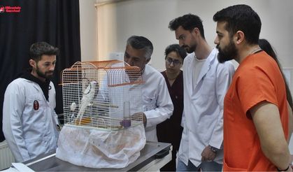 Diyarbakır’ın en yoğun hayvan hastanesi Dicle Üniversitesi’nde!