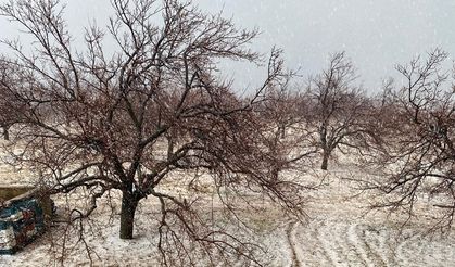Malatya’da etkisini hissettirdi: Dolu yağışı bahçelere zarar verdi!